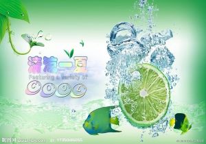 波兰队的艰难挑战：克服困境的勇气与智慧