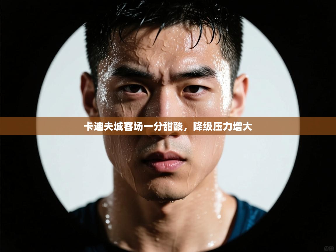 卡迪夫城客场一分甜酸，降级压力增大